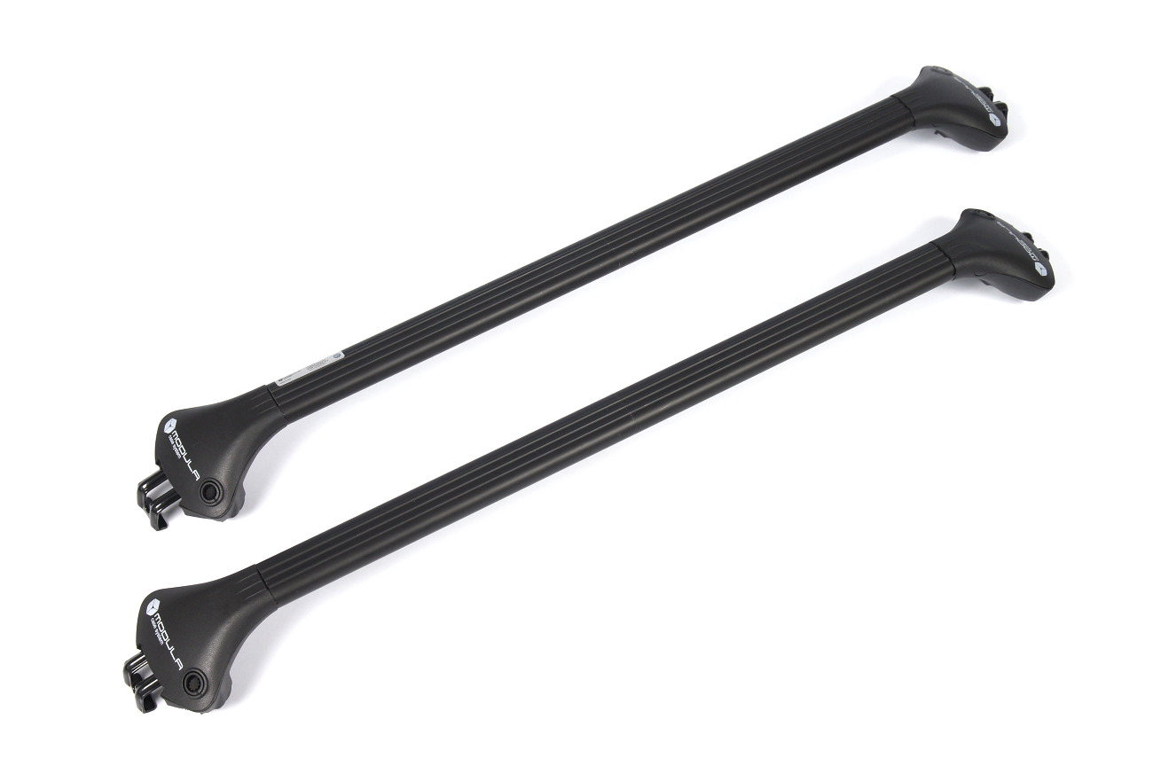 Barre Portatutto Portapacchi per BMW X1 E84 2009-2015 | eBay